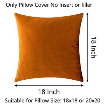 Demetex Pillow Covers 18x18 Soft Dcorative Velvet Throw Pillows for Couch Square Burn Orange Pillow Cases for Autumn Patio Living Room, Set of 2, 18 x 18 inch, Copper