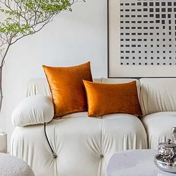 Demetex Pillow Covers 18x18 Soft Dcorative Velvet Throw Pillows for Couch Square Burn Orange Pillow Cases for Autumn Patio Living Room, Set of 2, 18 x 18 inch, Copper