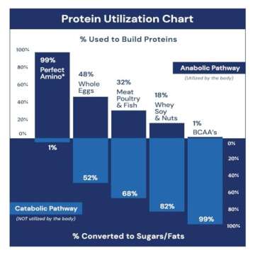 BodyHealth PerfectAmino Electrolytes Powder No Sugar, Keto Sugar Free Fasting Electrolytes Drink Mix, Hydration Powder with Trace Minerals - Watermelon - 30 Servings