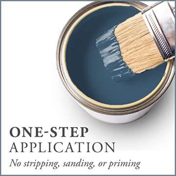 AMY HOWARD AT HOME: One Step Paint – Mai Dragon – Chalk-Based Paint for Furniture, Cabinetry, an...