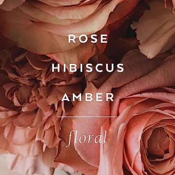 Lollia Always in Rose Bubble Bath, 25 fl. oz. – Rose & Hibiscus Scent – Soothing & Moisture-Rich Bubble Bath, Hydrating Ingredients, Enchanting Floral Bubble Bath for Women