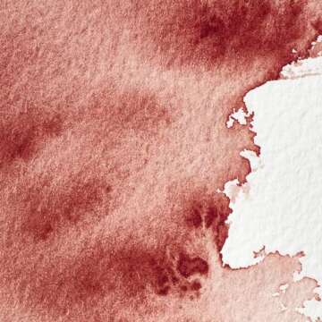 Winsor & Newton Professional Water Colour Paint, 0.47-oz Tube, Brown Madder