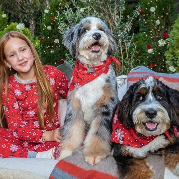 Family Matching Holiday Pajamas in Organic Cotton