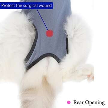 Comfortable Cat Recovery Suit after Surgery for Cats
