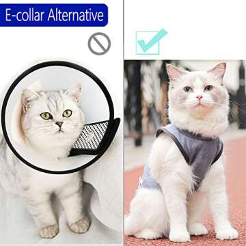 Comfortable Cat Recovery Suit after Surgery for Cats