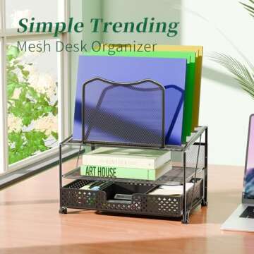 Simple Trending Mesh Desk Organizer with Sliding Drawer, Double Tray with 5 Sections File Bookshelf, Black