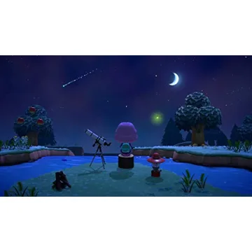 Animal Crossing: New Horizons on Nintendo Switch