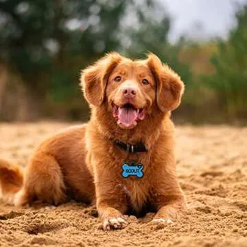 GoTags Silicone Dog Tags, Soundless Pet Tag, Personalized Silent Tag Engraved for Pets with Cute Custom Designs, for Dogs and Cats, (Bowtie, Green)