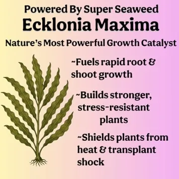 Grow Queen Organic Liquid Plant Food for Thriving Indoor Plants