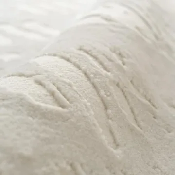 Washable Revival Shell Area Rug - Eco-Friendly & Stylish