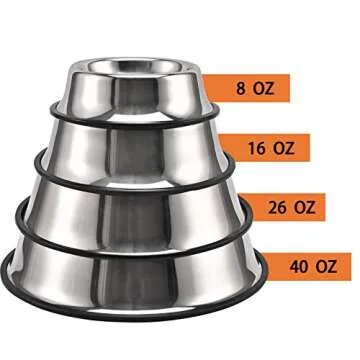 Stylish Stainless Steel Dog Bowls for Small Pets 2-Pack