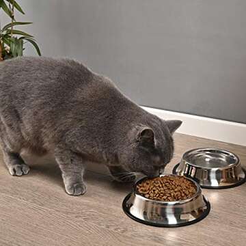 2Packs Stainless Steel Dog Bowl with Anti-Skid Rubber Base for Small/Medium/Large Pet, Perfect Dish, Pets Feeder and Water Choice Puppy Cat Kitten (8oz)