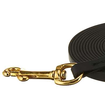 Ray Allen Mfg Signature K9 Biothane Long Line - 15-Feet Durable Training Leash