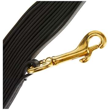 Ray Allen K9 Biothane Long Line - Durable Dog Leash