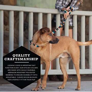Wolfgang Heavy Duty, Adjustable Dog Collar with Quick Release Nylon Buckle for Walking & Training, LostArt Print, Medium