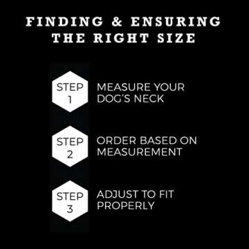 Wolfgang Heavy Duty, Adjustable Dog Collar with Quick Release Nylon Buckle for Walking & Training, LostArt Print, Medium