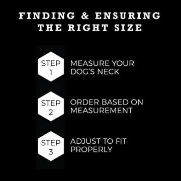 Wolfgang Heavy Duty, Adjustable Dog Collar with Quick Release Nylon Buckle for Walking & Training, LostArt Print, Medium