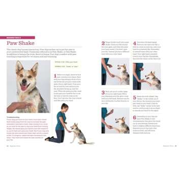 The Big Book of Tricks for the Best Dog Ever: A Step-by-Step Guide to 118 Amazing Tricks and Stunts