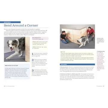 The Big Book of Tricks for the Best Dog Ever: A Step-by-Step Guide to 118 Amazing Tricks and Stunts