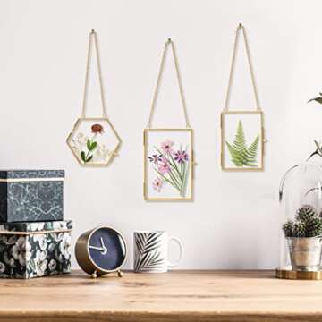 Double Glass Frame for Pressed Flowers - w/Real Dried Flowers and Tweezer for Handicrafts, Photo, or...