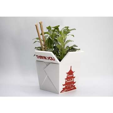 Plant Pot for Indoor Plants, Chinese Take out box white whit two chopsticks (free) 3D Printed -Plastic -Unique planter for indoor with Drainage hole- MADE IN USA (WHITE)