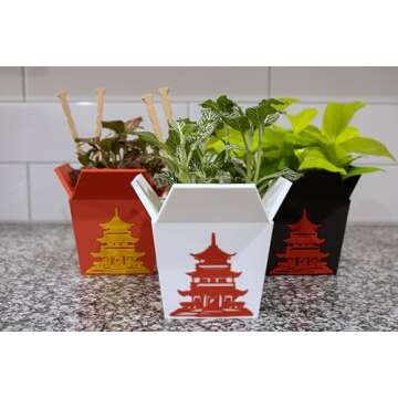Plant Pot for Indoor Plants, Chinese Take out box white whit two chopsticks (free) 3D Printed -Plastic -Unique planter for indoor with Drainage hole- MADE IN USA (WHITE)
