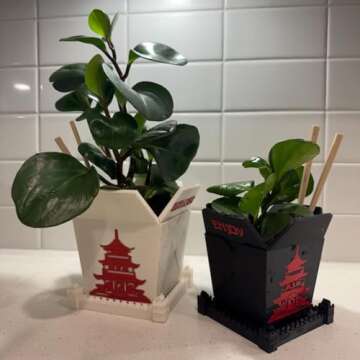 Plant Pot for Indoor Plants, Chinese Take out box white whit two chopsticks (free) 3D Printed -Plastic -Unique planter for indoor with Drainage hole- MADE IN USA (WHITE)