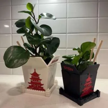Plant Pot for Indoor Plants, Chinese Take out box white whit two chopsticks (free) 3D Printed -Plastic -Unique planter for indoor with Drainage hole- MADE IN USA (WHITE)