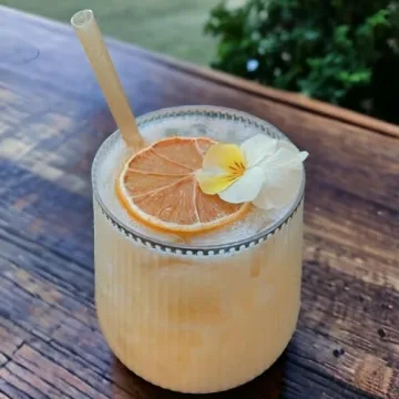 Elegant 36 Count Origami Plastic Wine Glasses with Gold Rims