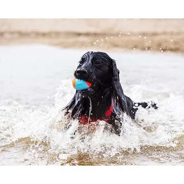 ChuckIt! Amphibious Fetch Balls - Set of 3 Floating Toys
