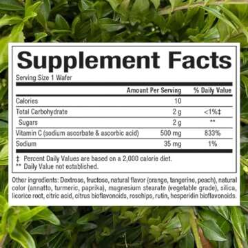 Natural Factors Kids Chewable Vitamin C 500 mg - Immune Health Support