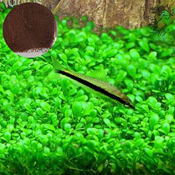 SunGrow Aquarium Temple Decorations for Vibrant Aquatic Environments