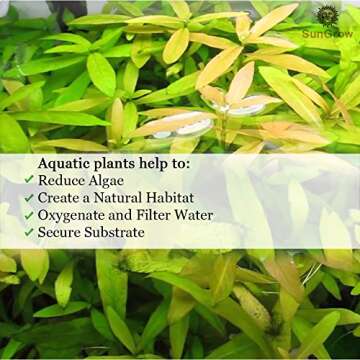 SunGrow Aquarium Temple Decorations for Vibrant Tank Appeal