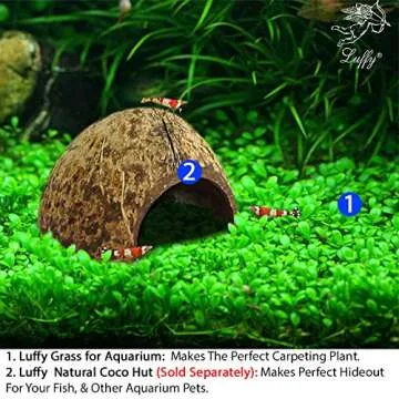 SunGrow Aquarium Temple Decorations for Vibrant Tank Appeal