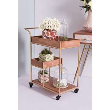 Bar Cart & Tray Brown & Gold