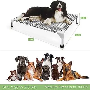 Kuntrust Elevated Outdoor Dog Bed, Medium Size, Cotton Material, Non-Slip Feet, Fits up to 70lbs