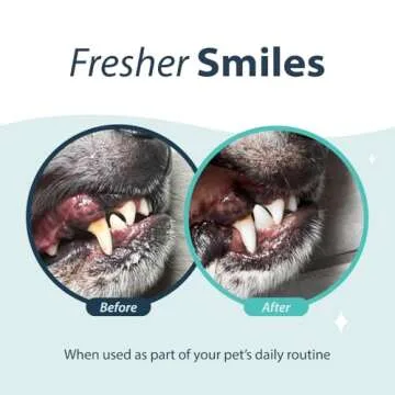 Dental Fresh Water Additive for Dogs, 32oz - Fresh Breath & Clean Teeth