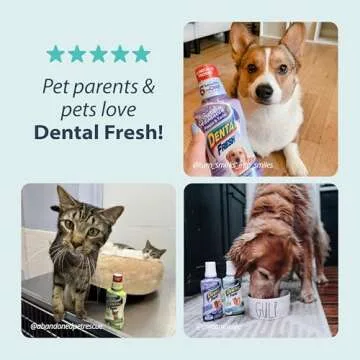 Dental Fresh Water Additive for Dogs, 32oz - Fresh Breath & Clean Teeth