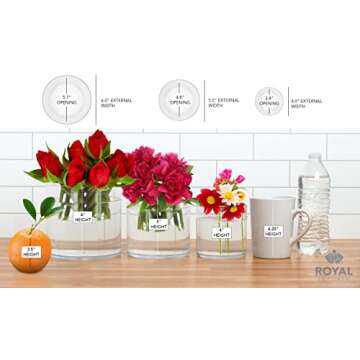 Royal Imports Acrylic Vase – Durable Decorative Centerpiece