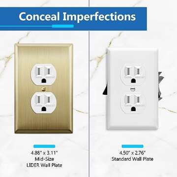 LIDER 1-Gang Stainless Steel Wall Plate - Brushed Brass