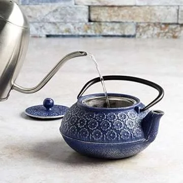 Primula Cast Iron Teapot with Stainless Steel Infuser