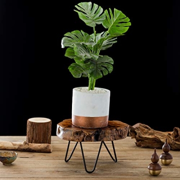 TJ Global Natural Edge Wooden Cake and Plant Stand