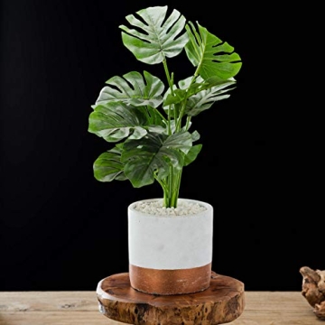 TJ Global Natural Edge Wooden Cake and Plant Stand