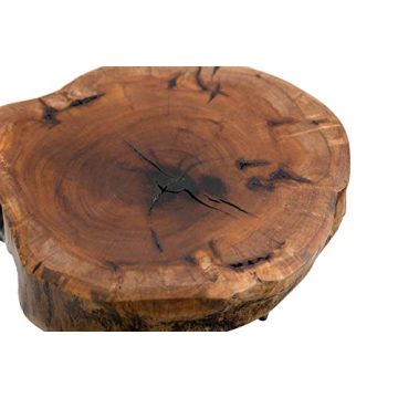 TJ Global Natural Edge Wooden Cake and Plant Stand