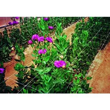 Tenax 100522969 Hortonova Plant Trellis Net for Garden Support