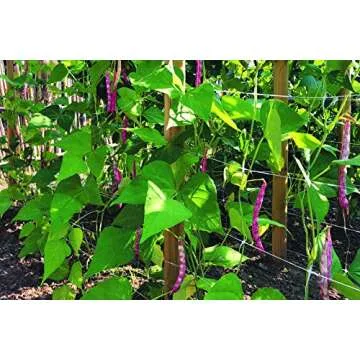Tenax 100522969 Hortonova Plant Trellis Net for Garden Support