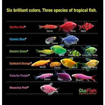 GloFish 20 Gallon Aquarium Kit with LED Lights, Decor Heater and Filter