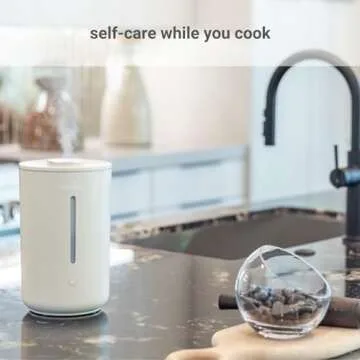 Hey Dewy Wellness Humidifier for Home and Office