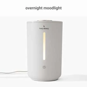 Hey Dewy Wellness Humidifier for Home and Office