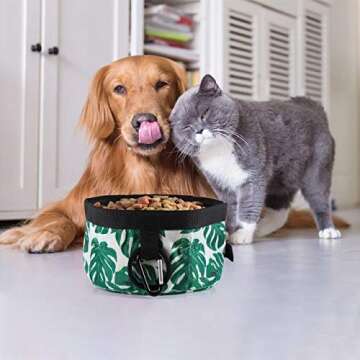 Portable Dog Bowl and Travel Dog Bowls for Dog Hiking Walking Travel & Outdoor Adventure | 2 Pack cl...